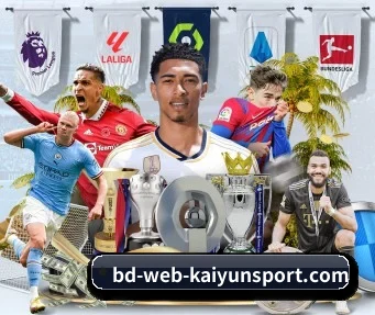 开云 APP - kaiyun sports
